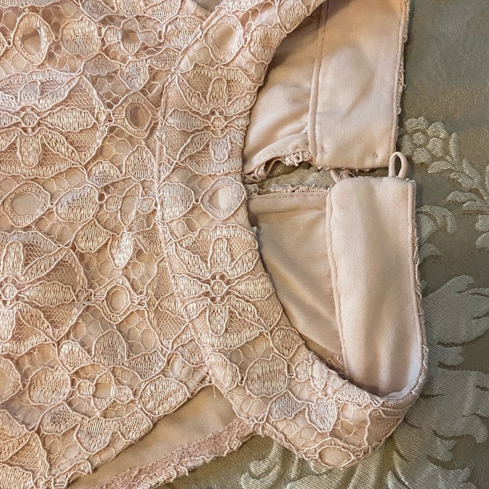 BLUSH LACE DRESS - Picture 11 of 14
